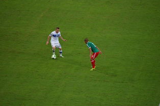 C罗官方宣布领先优势明显新规，德国队引发争议！赢得满堂喝彩